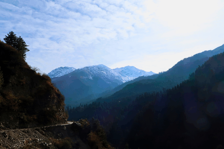 I’ve moved to the mountains!!!