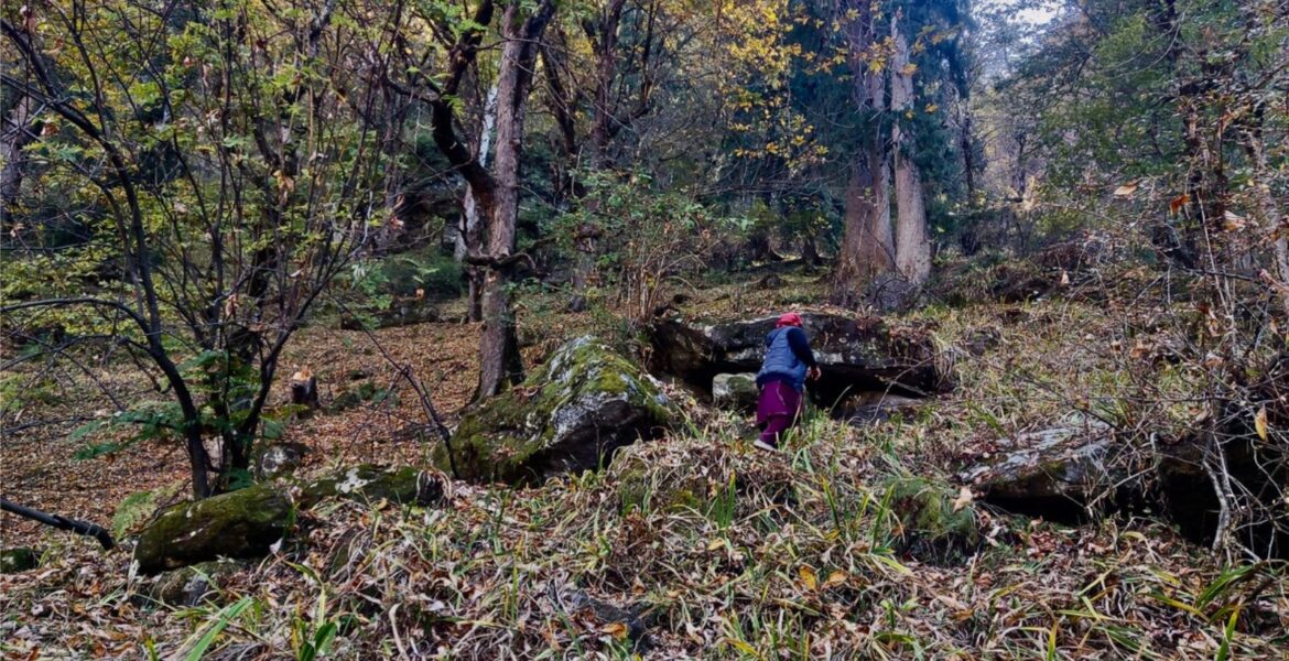 Preparing for My First Winter in the Himalayan Shilha Village