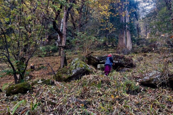 Preparing for My First Winter in the Himalayan Shilha Village