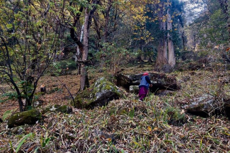 Preparing for My First Winter in the Himalayan Shilha Village
