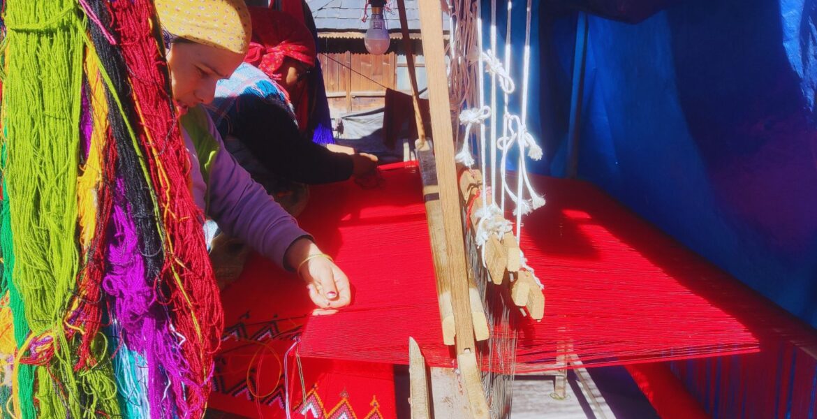 Pattu in the Making- Where Colours Woven in Tradition