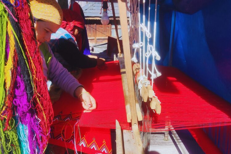 Pattu in the Making- Where Colours Woven in Tradition