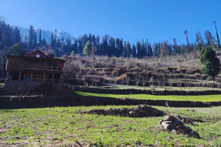 The First Spring Hike in Shilha Village After Snow