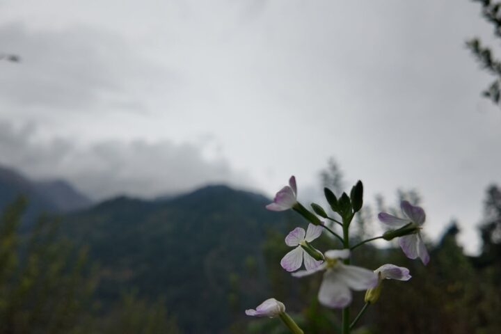An October in White in the Mountains!